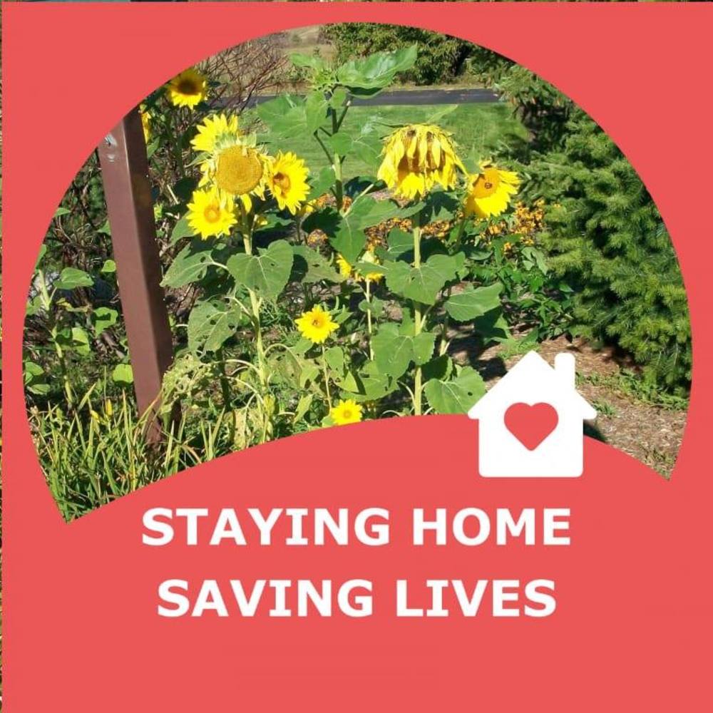 Meet your Posher, Lynn